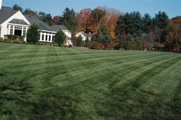 work photo from arbor-turf.com