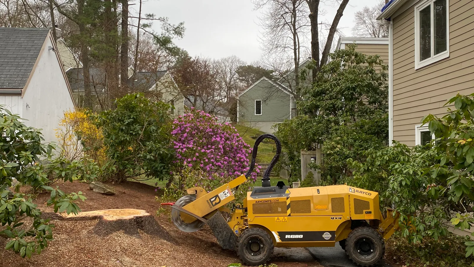 work photo from Google listing