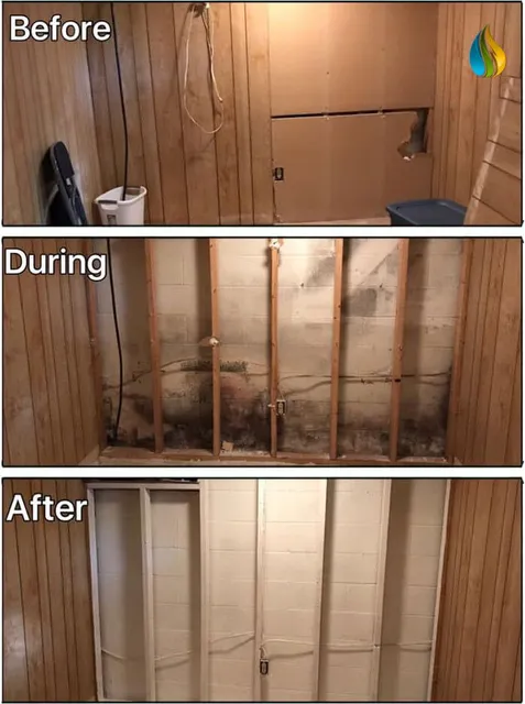 water mold fire restoration
