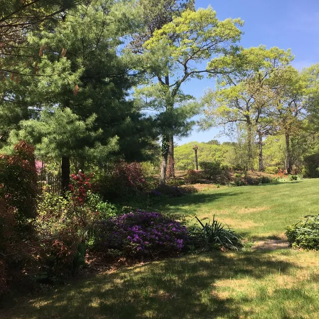 Island Landscape & Homecare work photo