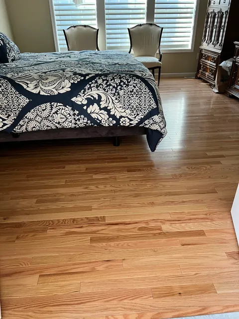 Loftus Carpet Sales & Cleaning
