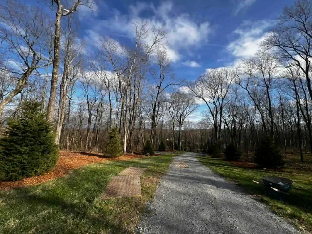 Stump grinding Connecticut