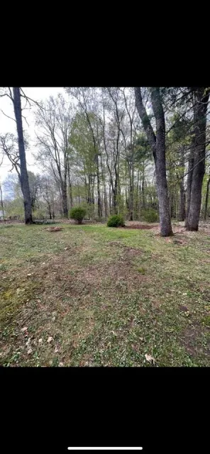 A grassy lawn transitions into a dense, wooded forest with tall, slender trees under an overcast sky.
