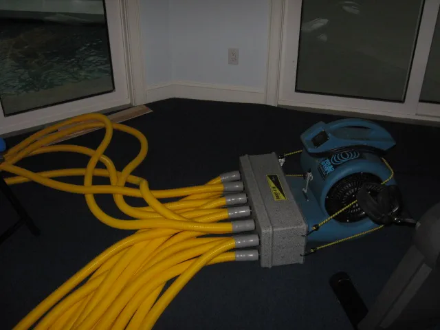 work photo from marestoration.com