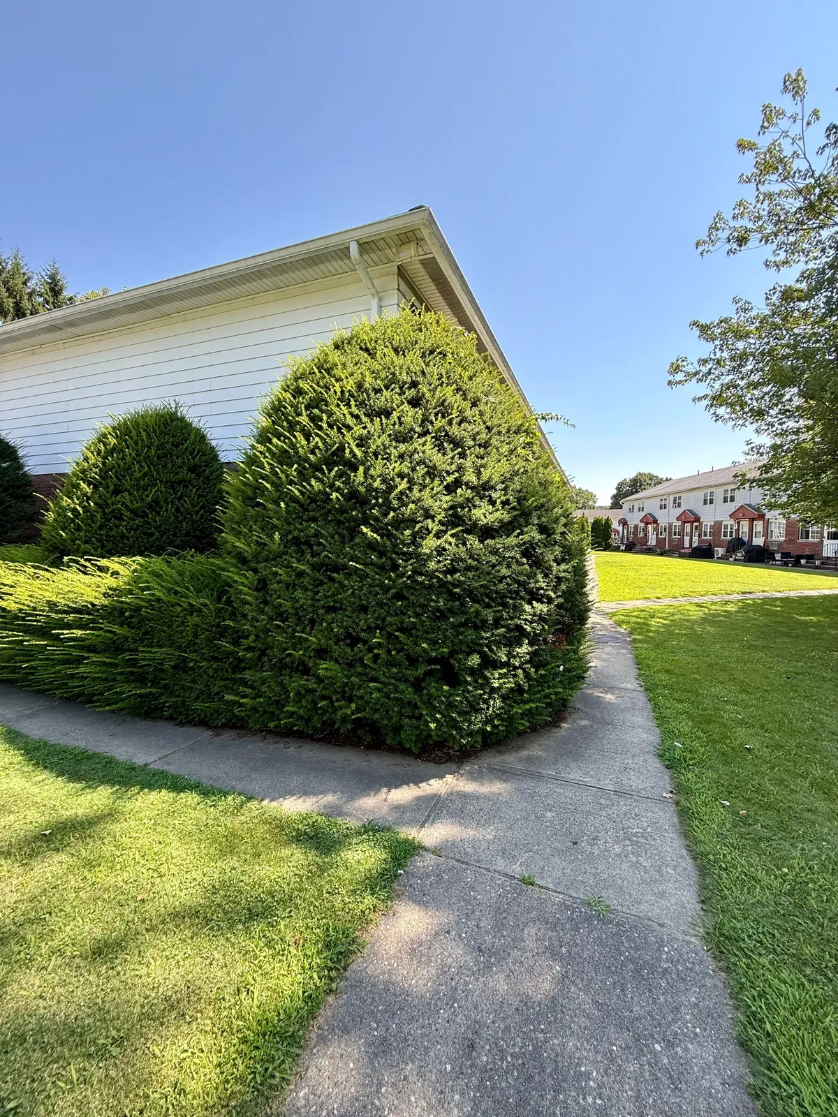 Adnan landscaping LLC researched project photo