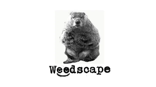 Weedscape logo