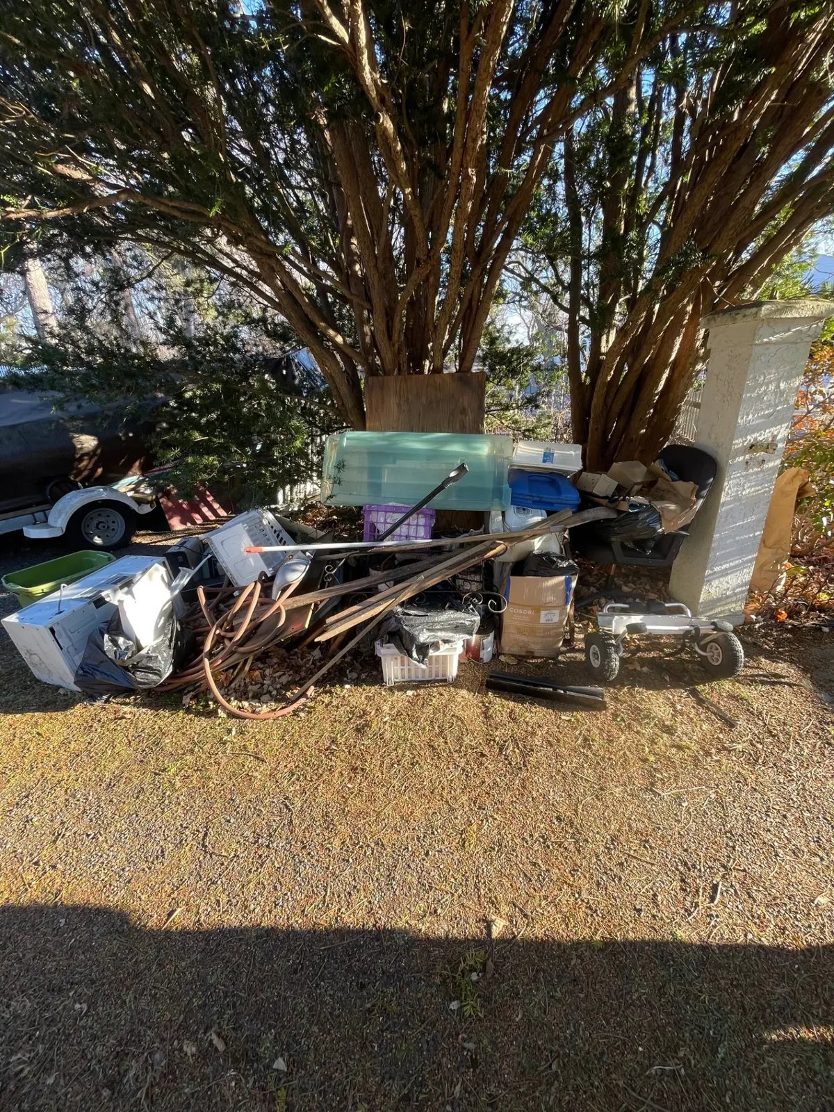 Yard Cleanout — Full Haul — before