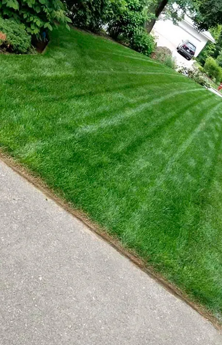 work photo from bslandscapingllc.com
