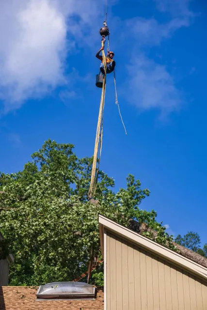 Recent work tree services fairfield county ct completed with safe tree removal and cleanup