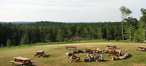 pasture