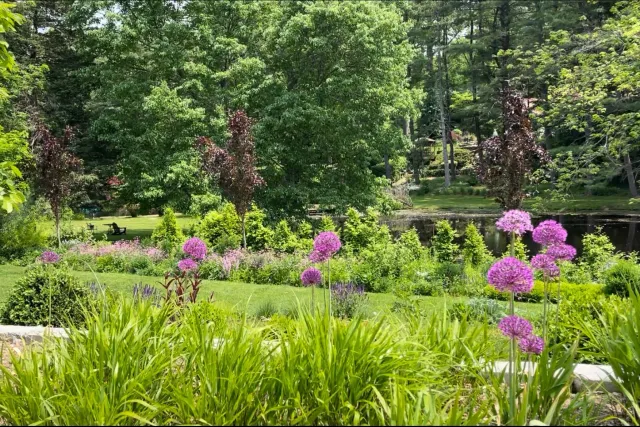 Pet Friendly Garden