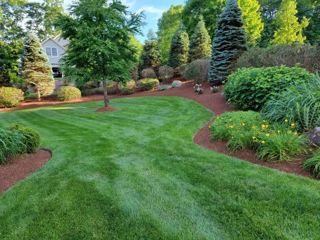 Nitro Landscaping, LLC work photo