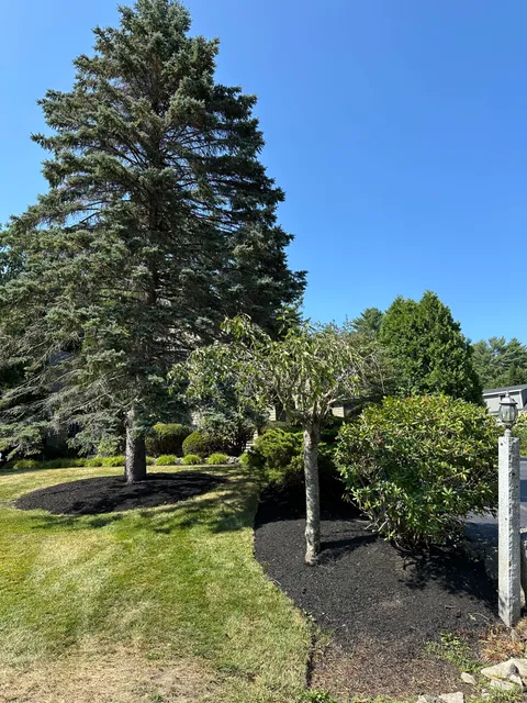 Recon Landscaping LLC work photo