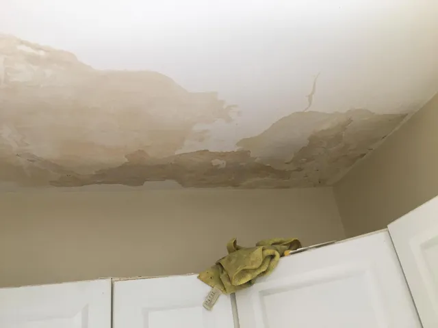 work photo from professionalpaintplus.com