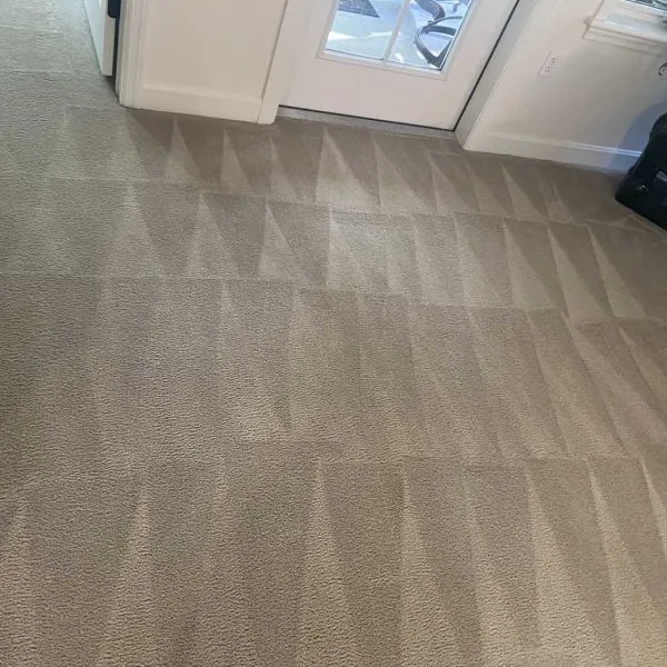 Freshly steam-cleaned carpet with crisp vacuum lines near a doorway in a Plaistow NH home, cleaned by Delta Cleaning
