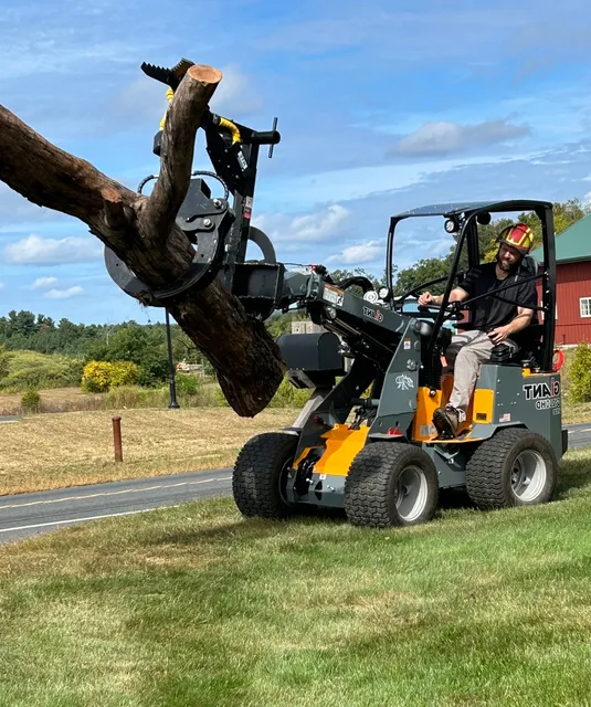 Canopy Tree Service LLC work photo