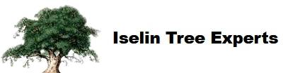 Iselin Tree Experts logo