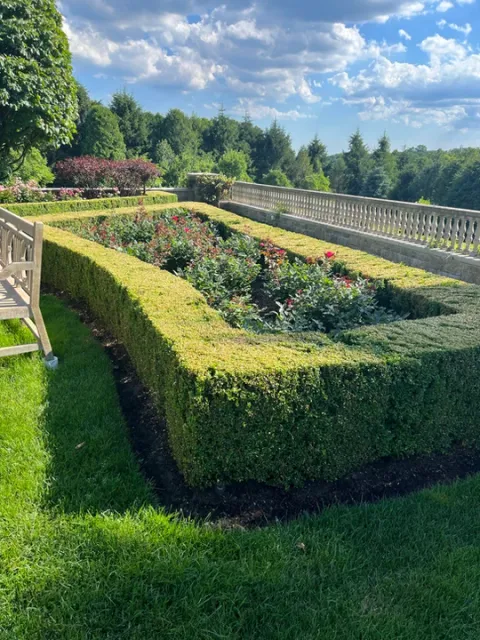 work photo from terragreenlandscaping.com