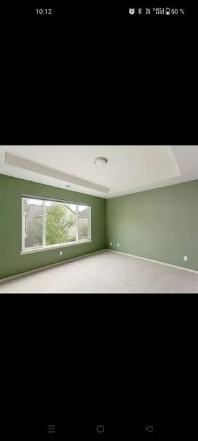Reyna painting Llc