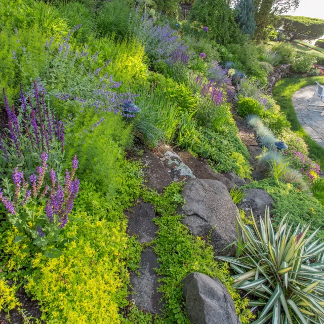 Victoria D. Hibbard Landscape Architect LLC researched project photo