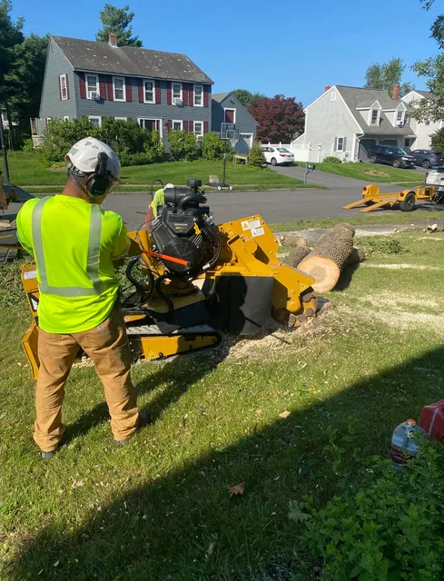 207 Landscaping Tree Service, LLC work photo
