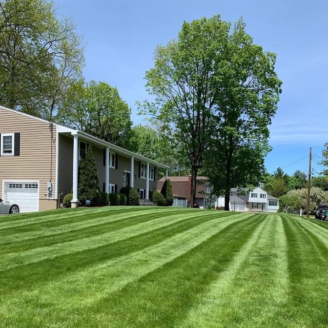Brights Landscaping researched project photo