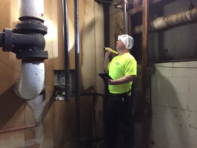 Food and Drug and the Bug LLC work photo