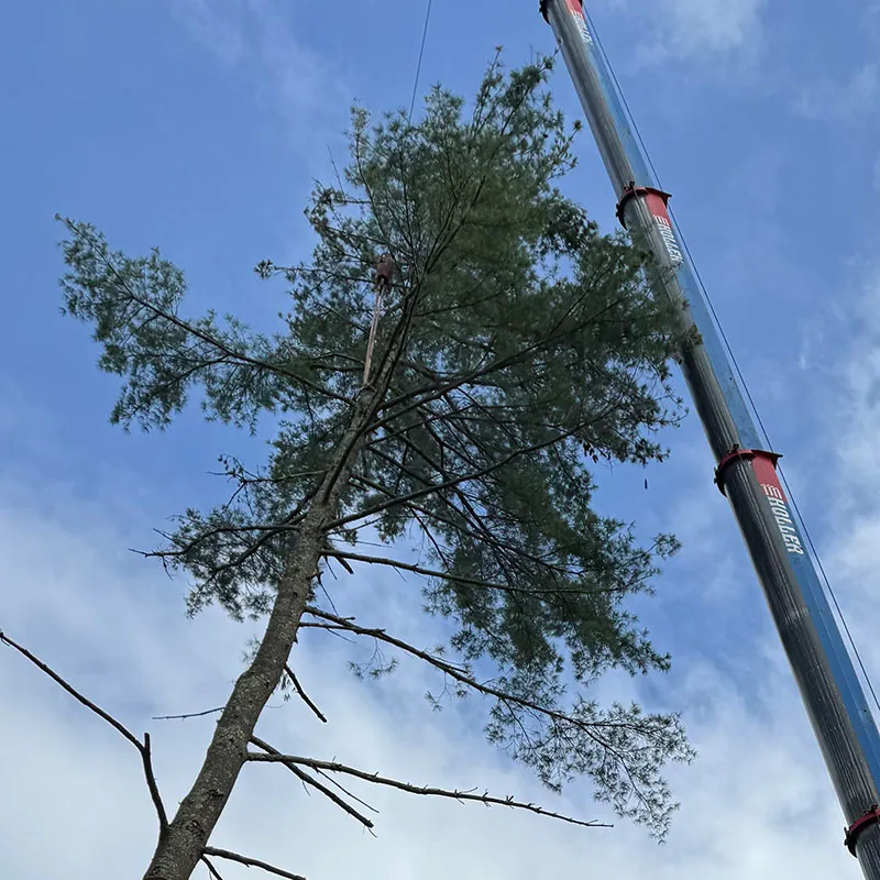 Tree removal crane assisted - Tip Top Tree Service - Hudson, NH - Complete tree care company in New Hampshire and Massachusetts