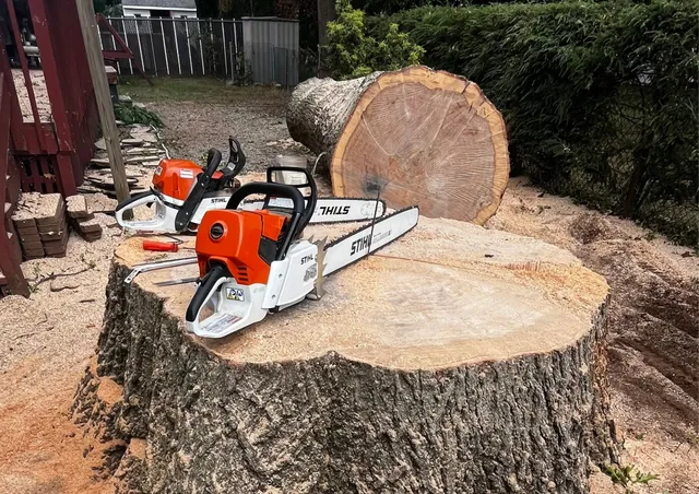 Tree Wise Guys equipment and trucks 2