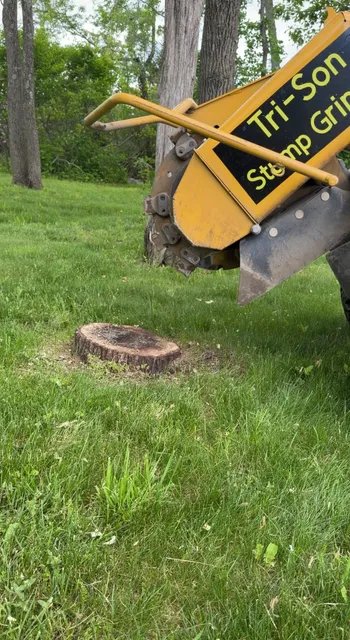 Tri-Son Stump Grinding researched project photo