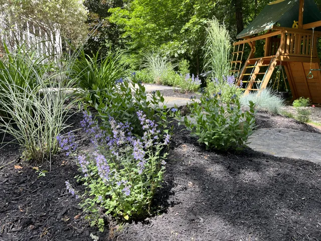 Garden Beds