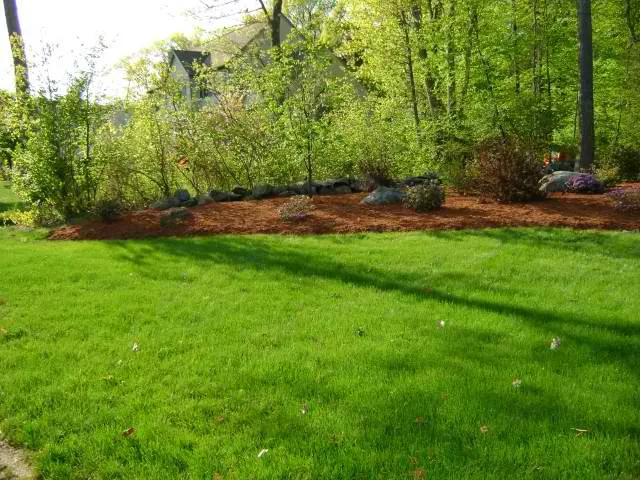 work photo from vpitollandscape.com