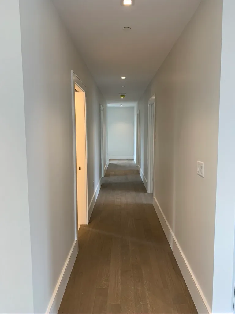 Proline Painting Services