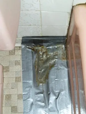 Able Home Inspection researched project photo