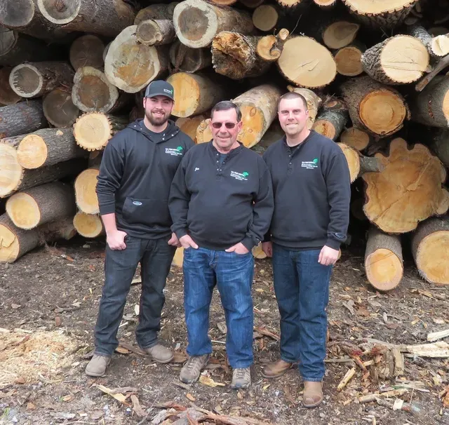 DJ's Tree Service researched project photo
