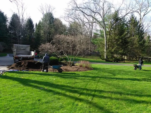 Landscape design