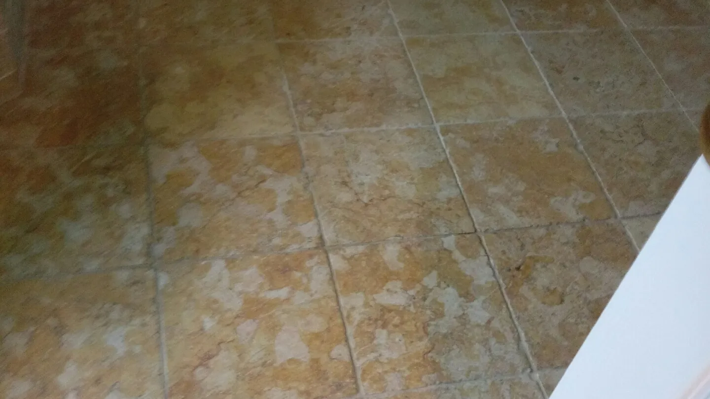 Imc cleaning solutions