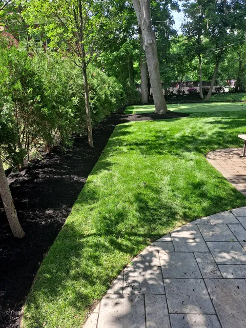 Osberto's landscaping work photo