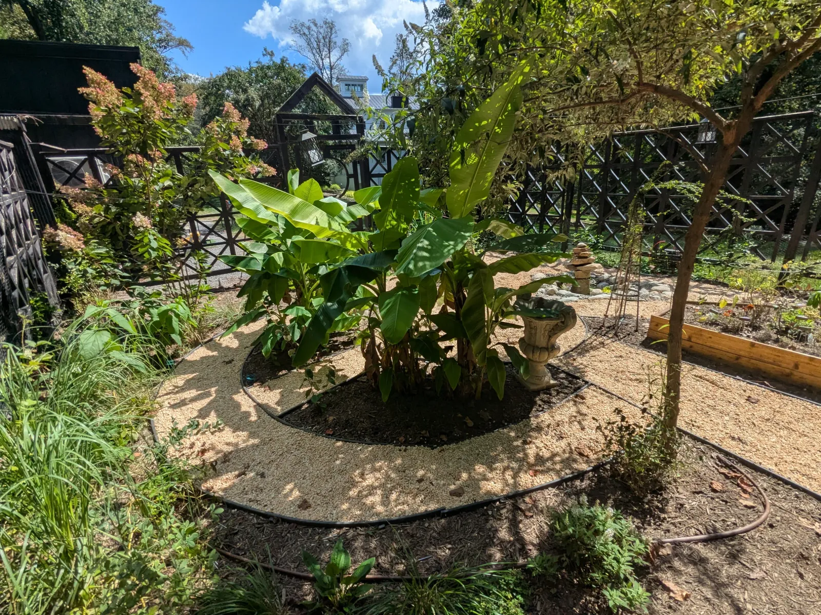 Corner of the walled garden with layered plantings