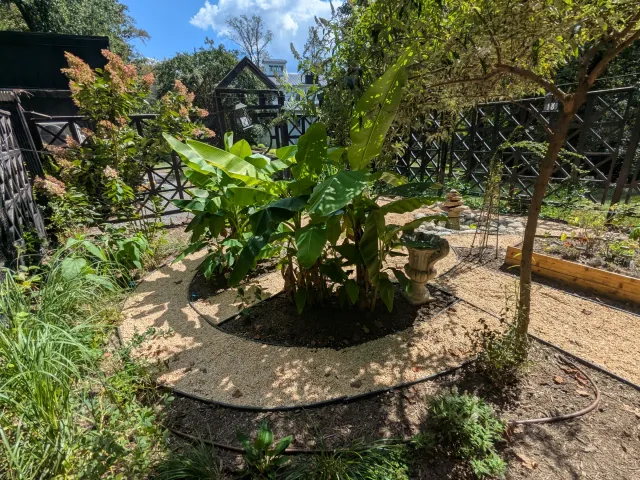 Corner of the walled garden with layered plantings