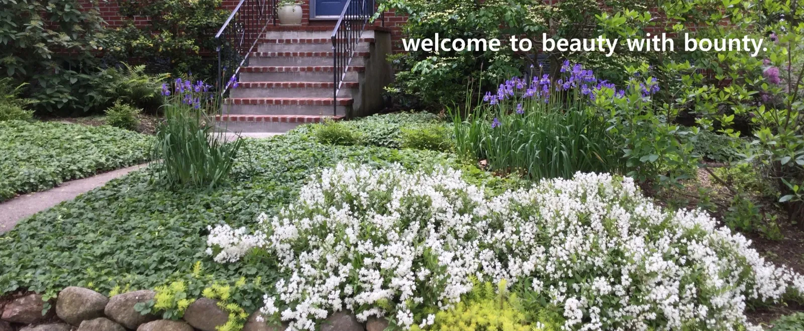 welcome to beauty with bounty..jpg