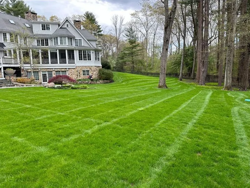 work photo from colonialwestlandscaping.com