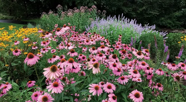 work photo from petrowgardens.com