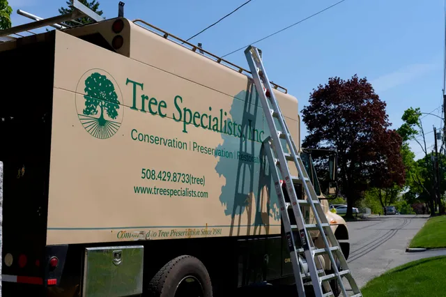 tree specialists arborist