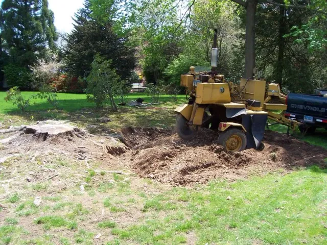 work photo from stumpbuster.com