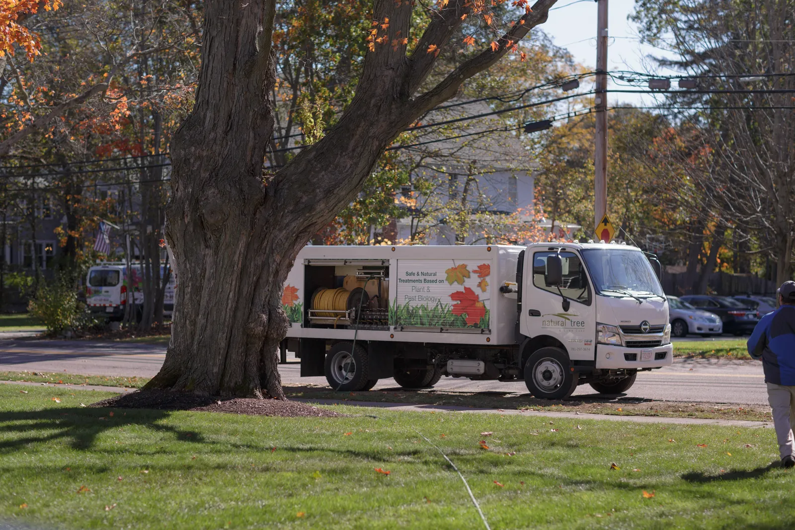 work photo from Google listing
