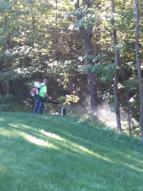 Top Leaf Tree LLC work photo