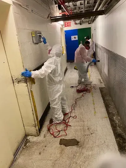 Drying equipment set up in a Brockton basement
