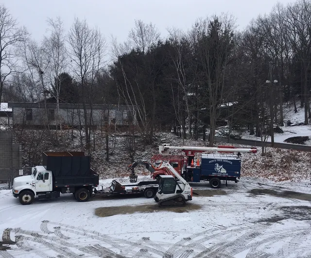 Rick's Tree Service LLC work photo