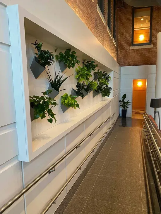 Living wall plants in vertical exteriorscaping